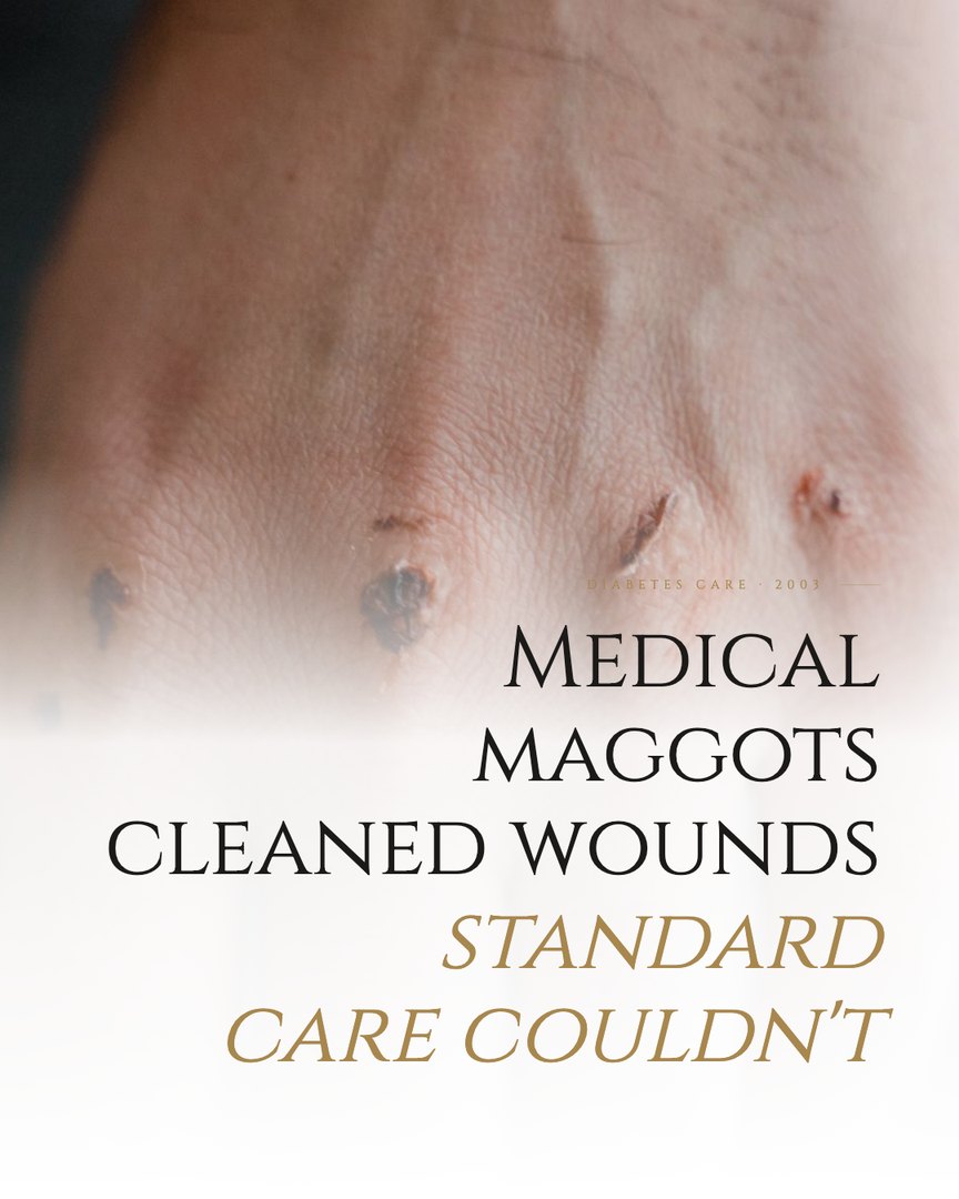 Crescent Discovery Series cover: Medical maggots cleaned wounds standard care couldn't