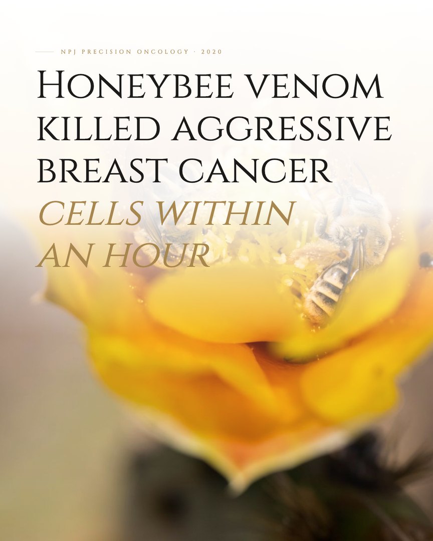 Crescent Discovery Series cover: Honeybee venom killed aggressive breast cancer cells within an hour