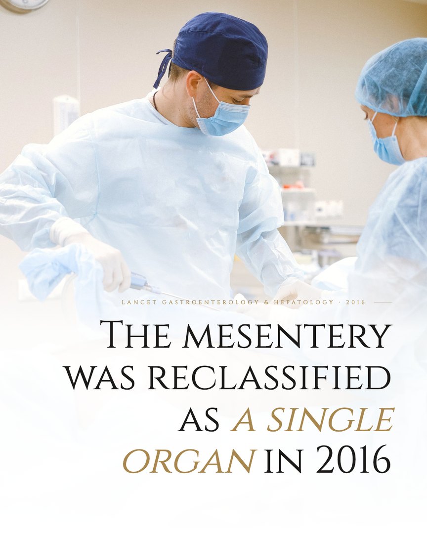 Crescent Discovery Series cover: The mesentery was reclassified as a single organ in 2016