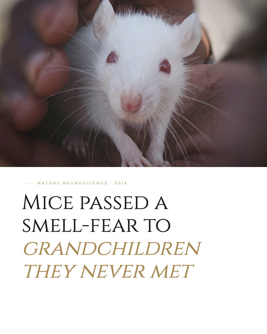 Crescent Discovery Series cover: Mice passed a smell-fear to grandchildren they never met