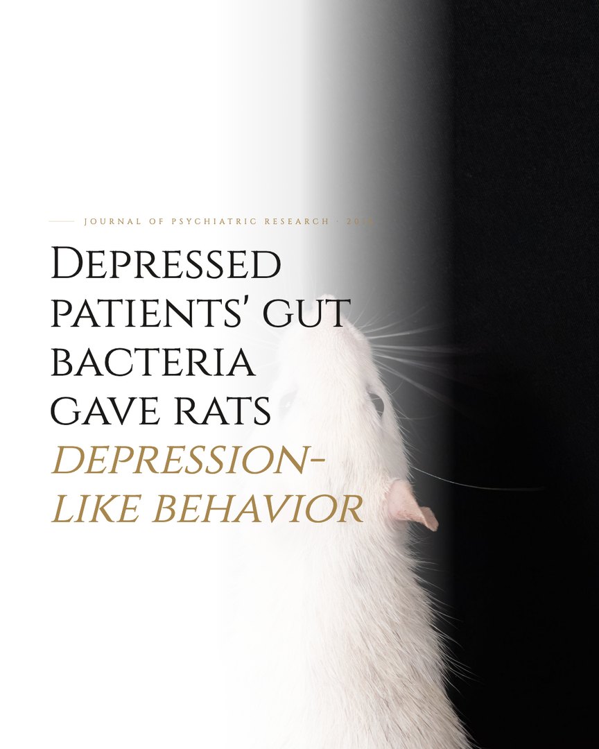 Crescent Discovery Series cover: Depressed patients' gut bacteria gave rats depression-like behavior