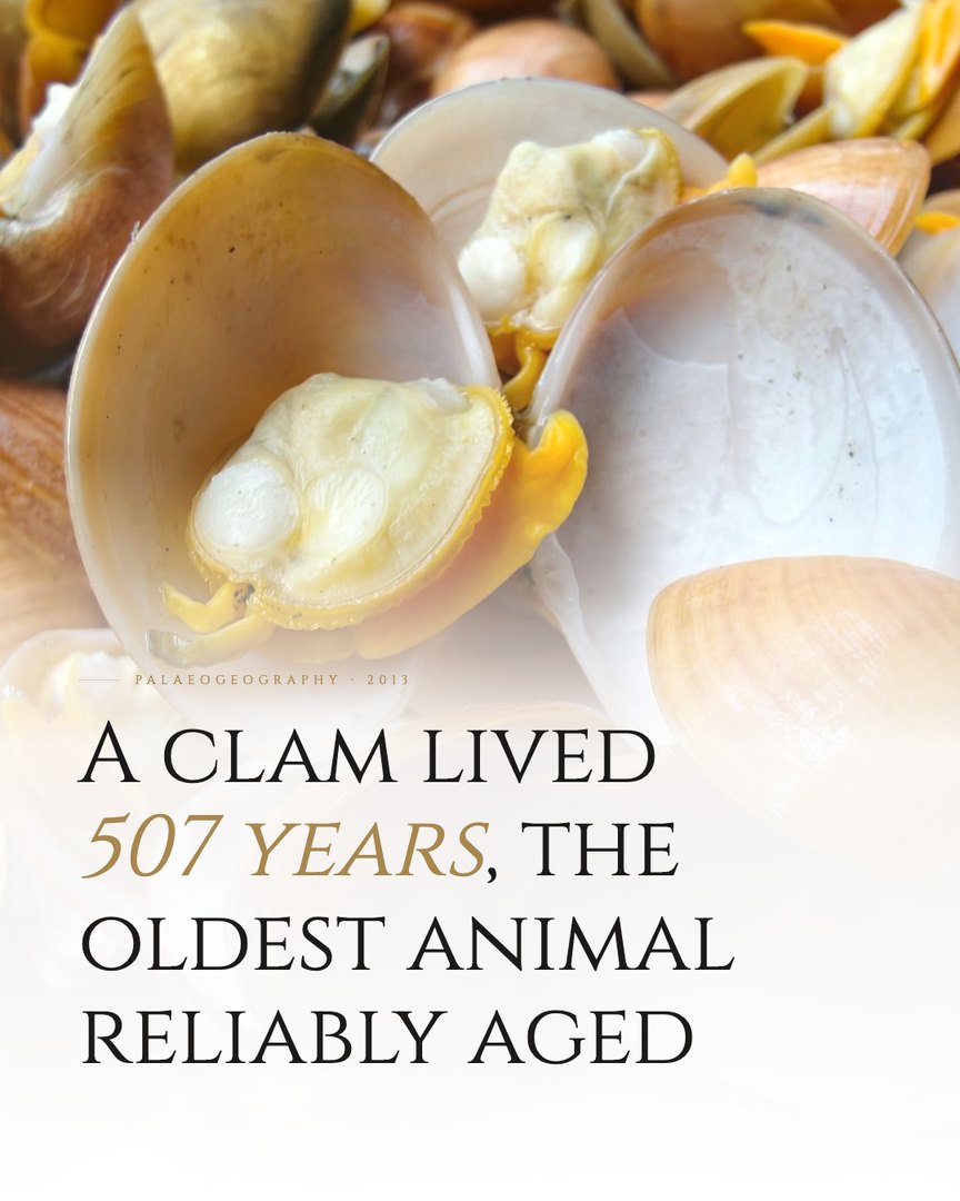 Crescent Discovery Series cover: A clam lived 507 years, the oldest animal reliably aged