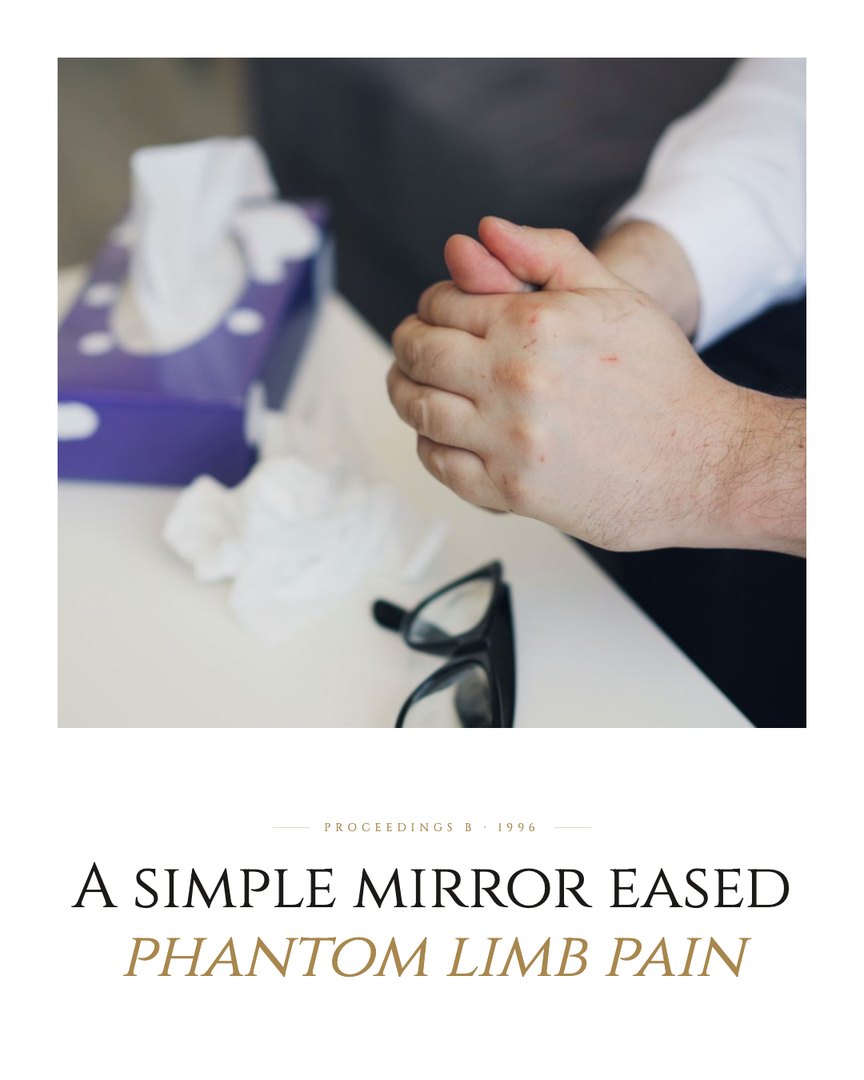 Crescent Discovery Series cover: A simple mirror eased phantom limb pain