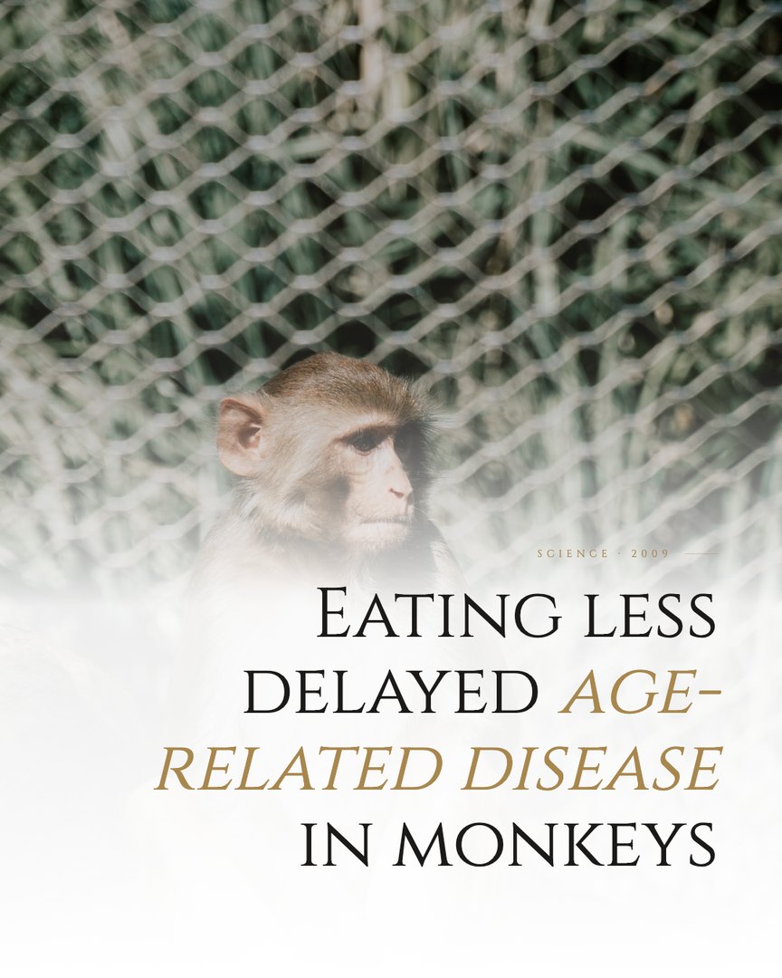 Crescent Discovery Series cover: Eating less delayed age-related disease in monkeys