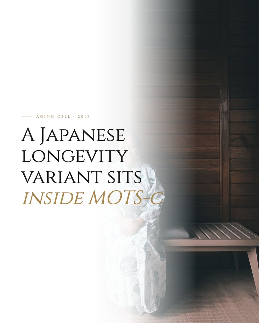 Crescent Discovery Series cover: A Japanese longevity variant sits inside MOTS-c