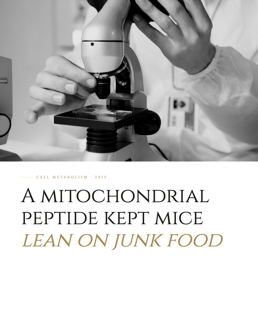 Crescent Discovery Series cover: A mitochondrial peptide kept mice lean on junk food