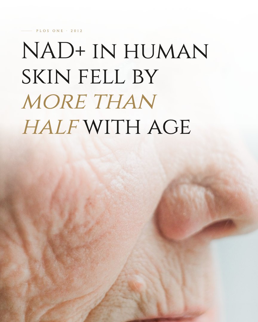 Crescent Discovery Series cover: NAD+ in human skin fell by more than half with age