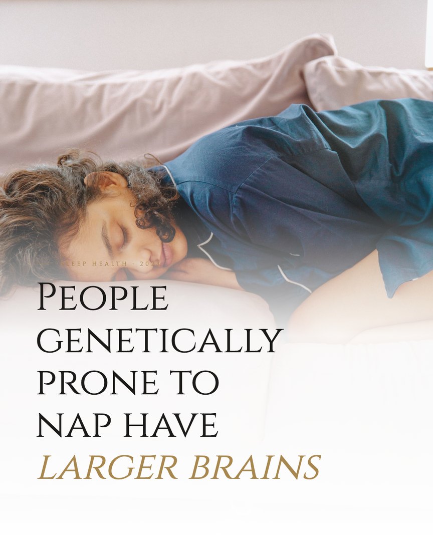 Crescent Discovery Series cover: People genetically prone to nap have larger brains