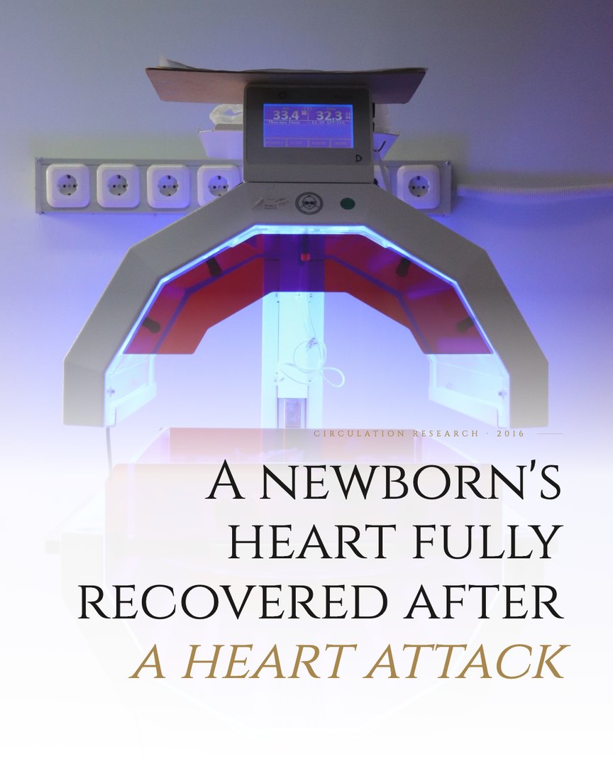 Crescent Discovery Series cover: A newborn's heart fully recovered after a heart attack