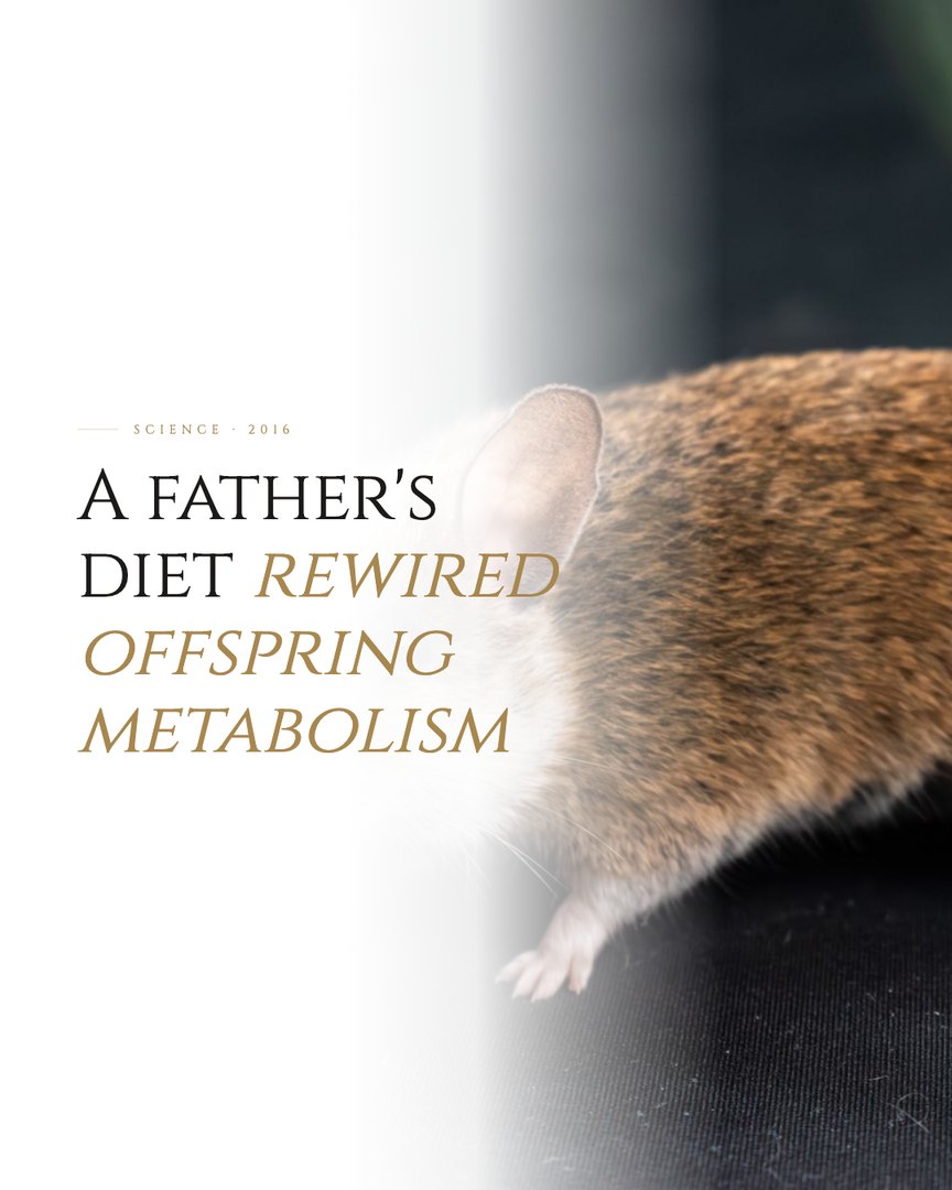 Crescent Discovery Series cover: A father's diet rewired offspring metabolism