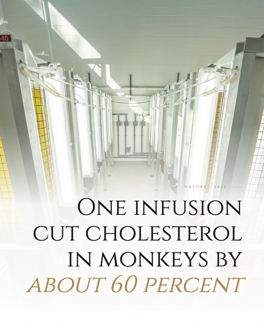Crescent Discovery Series cover: One infusion cut cholesterol in monkeys by about 60 percent