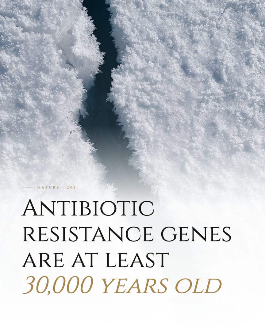 Crescent Discovery Series cover: Antibiotic resistance genes are at least 30,000 years old