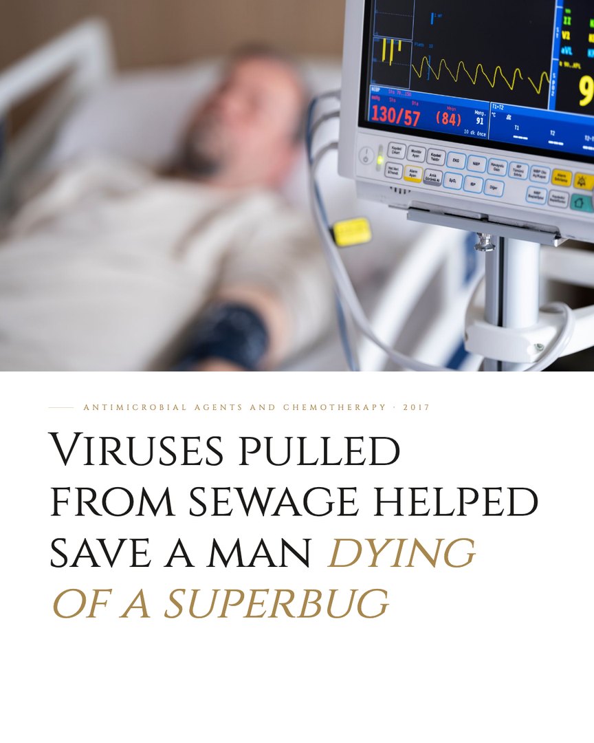 Crescent Discovery Series cover: Viruses pulled from sewage helped save a man dying of a superbug