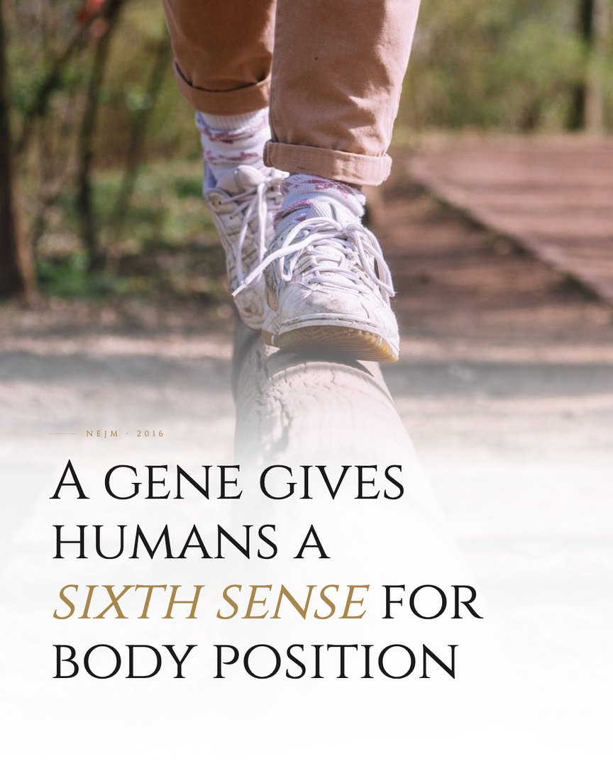 Crescent Discovery Series cover: A gene gives humans a sixth sense for body position