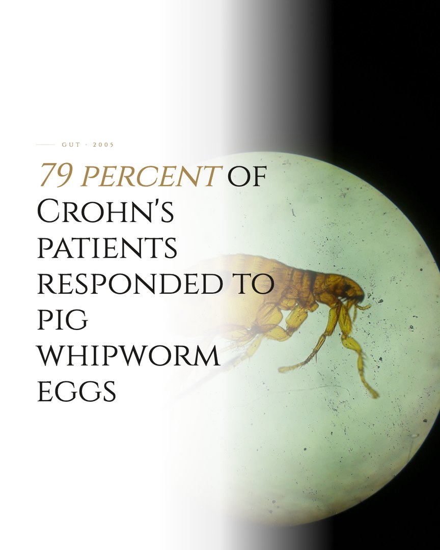 Crescent Discovery Series cover: 79 percent of Crohn's patients responded to pig whipworm eggs