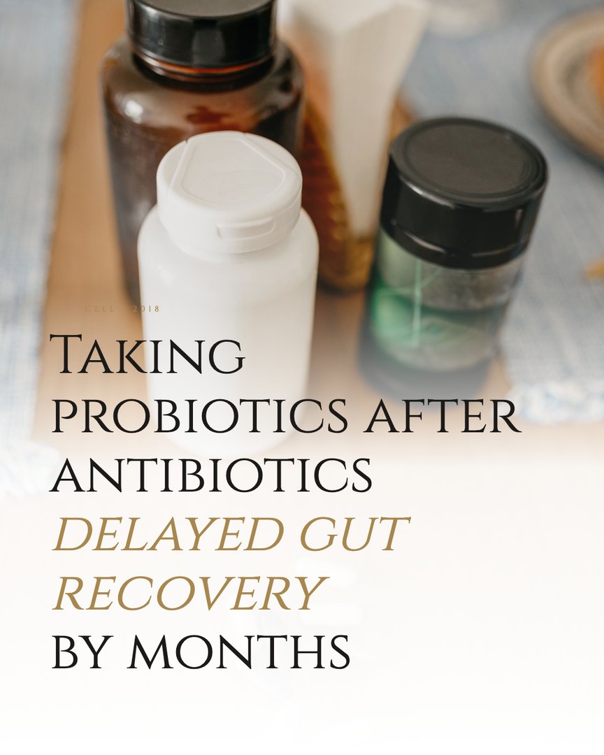 Crescent Discovery Series cover: Taking probiotics after antibiotics delayed gut recovery by months
