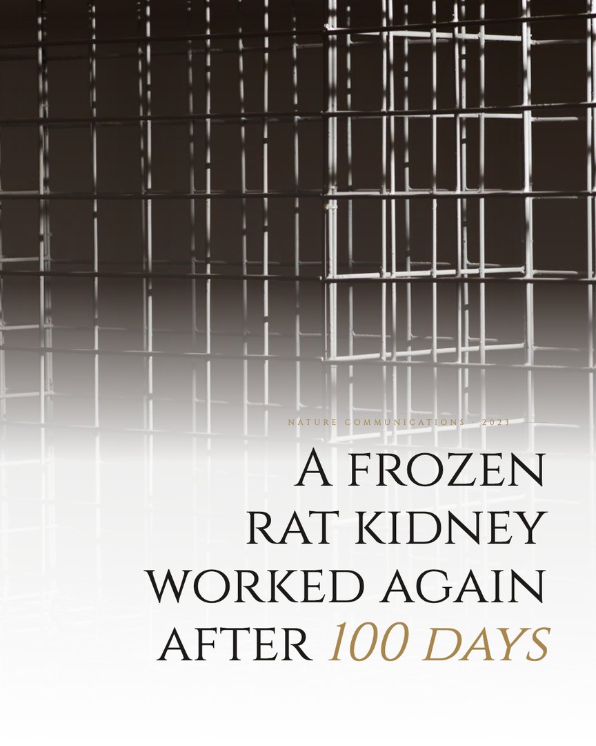 Crescent Discovery Series cover: A frozen rat kidney worked again after 100 days