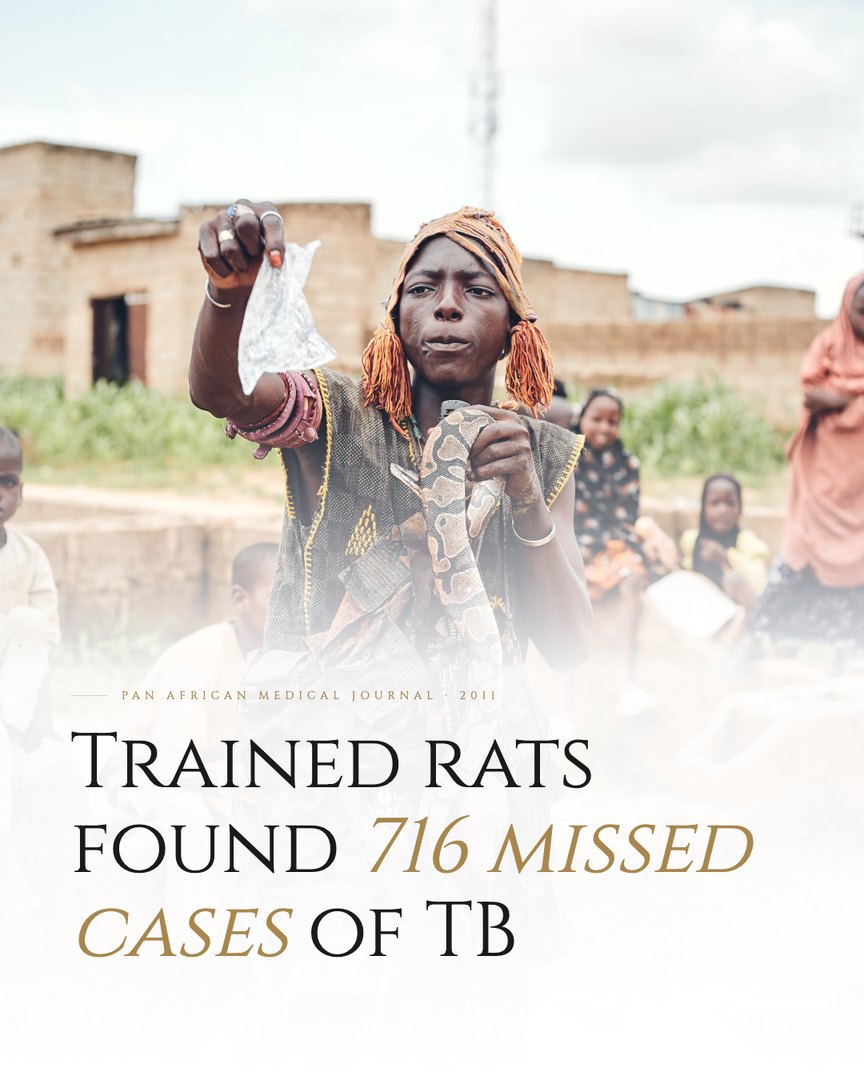 Crescent Discovery Series cover: Trained rats found 716 missed cases of TB