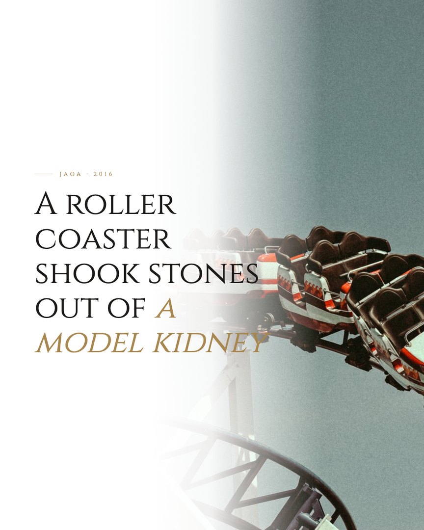 Crescent Discovery Series cover: A roller coaster shook stones out of a model kidney