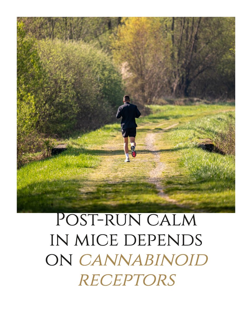 Crescent Discovery Series cover: Post-run calm in mice depends on cannabinoid receptors