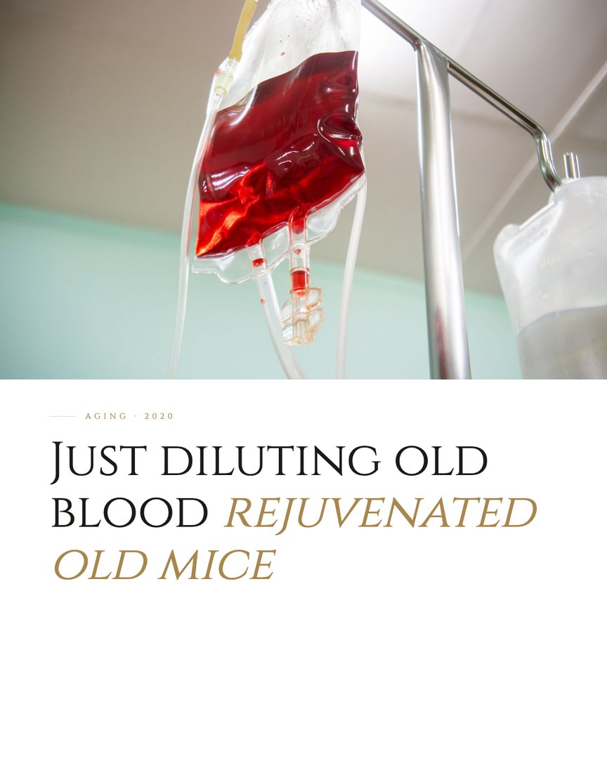 Crescent Discovery Series cover: Just diluting old blood rejuvenated old mice
