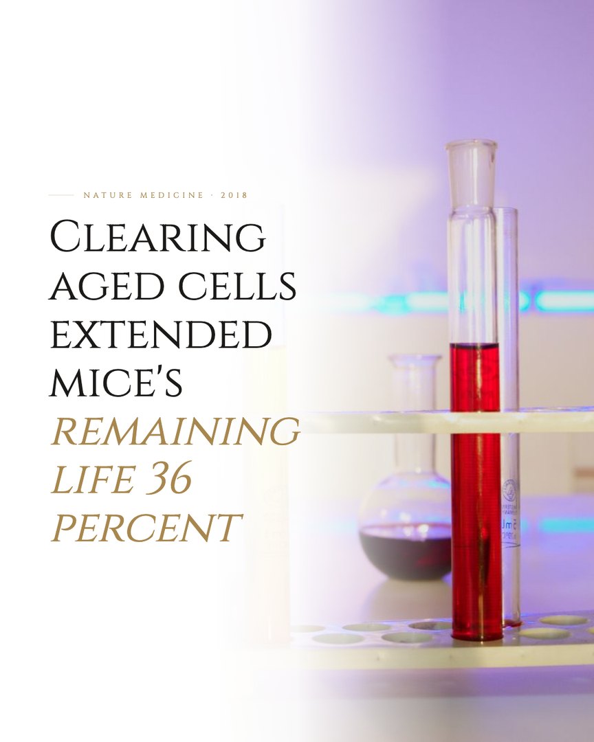 Crescent Discovery Series cover: Clearing aged cells extended mice's remaining life 36 percent