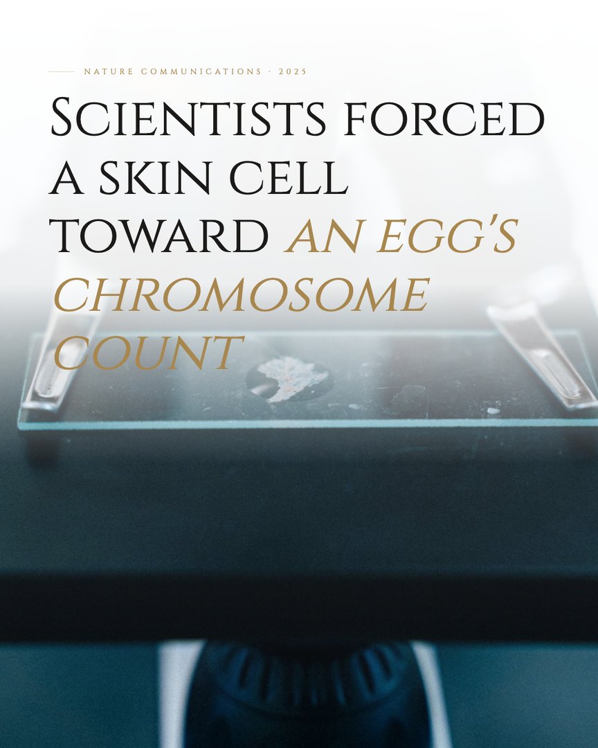 Crescent Discovery Series cover: Scientists forced a skin cell toward an egg's chromosome count
