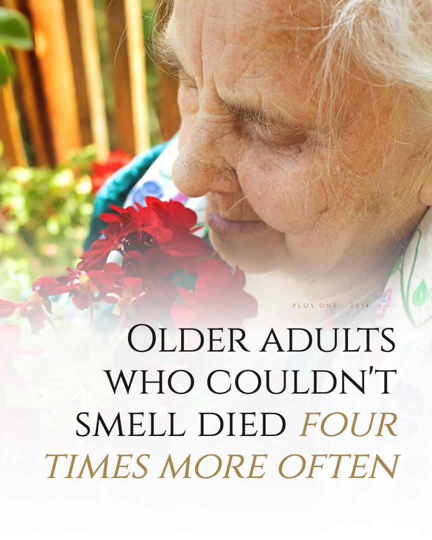Crescent Discovery Series cover: Older adults who couldn't smell died four times more often