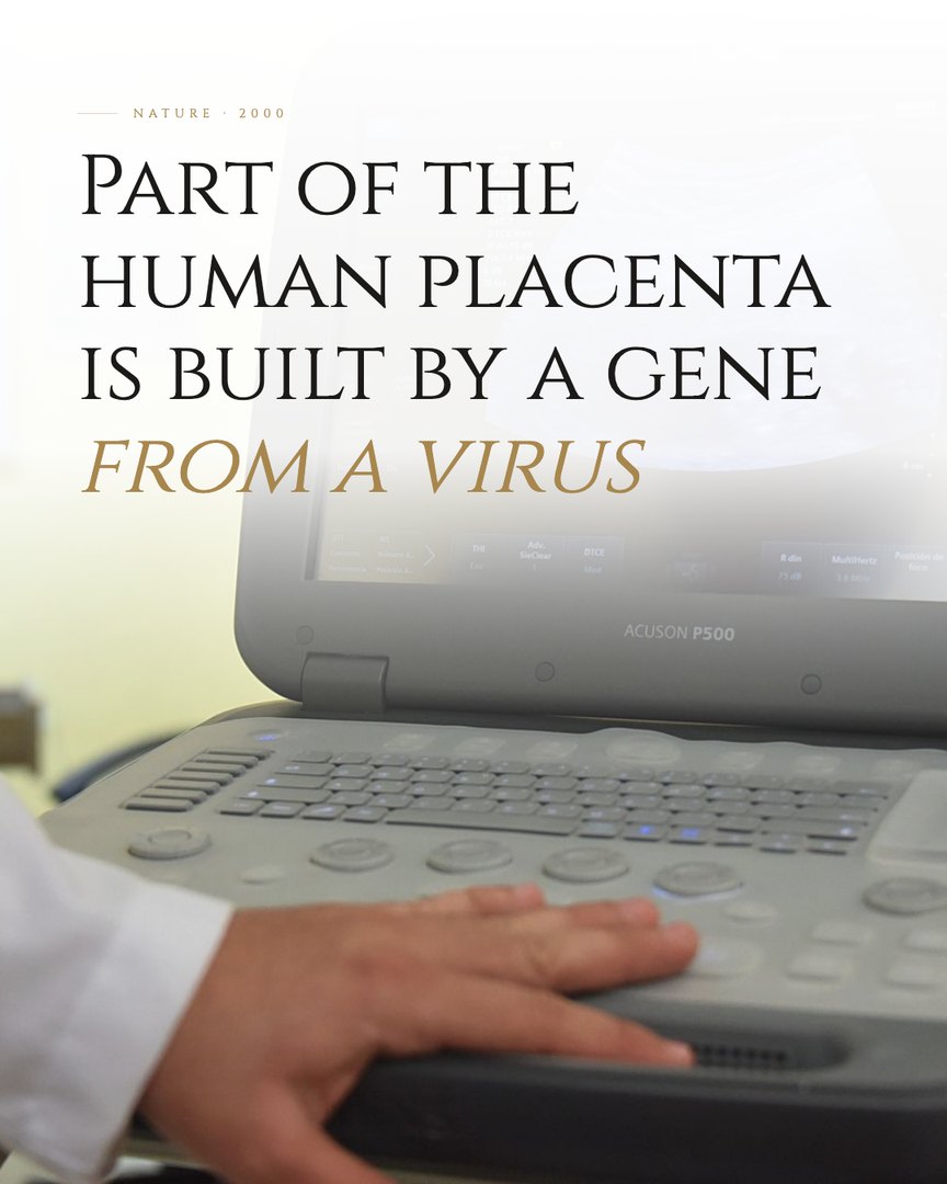 Crescent Discovery Series cover: Part of the human placenta is built by a gene from a virus