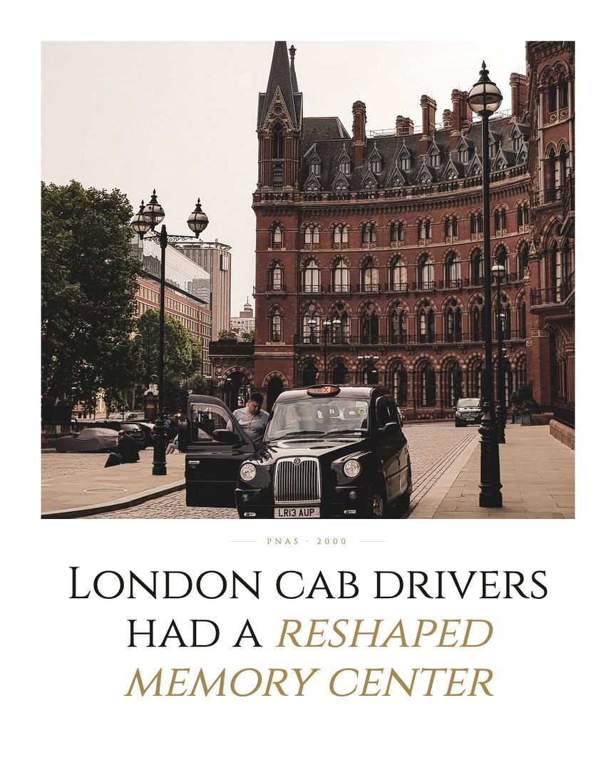 Crescent Discovery Series cover: London cab drivers had a reshaped memory center