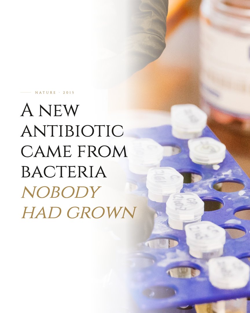 Crescent Discovery Series cover: A new antibiotic came from bacteria nobody had grown