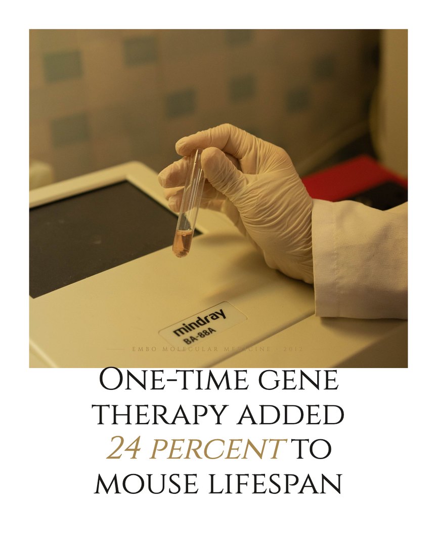 Crescent Discovery Series cover: One-time gene therapy added 24 percent to mouse lifespan