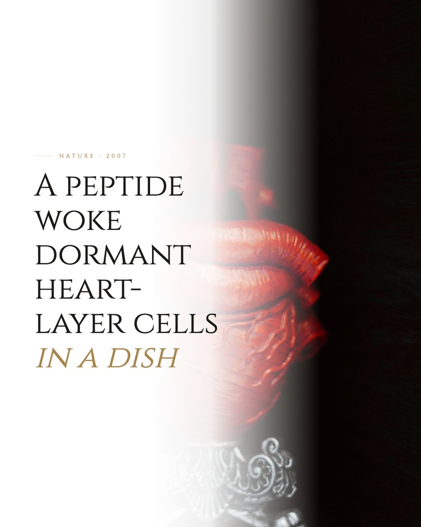 Crescent Discovery Series cover: A peptide woke dormant heart-layer cells in a dish
