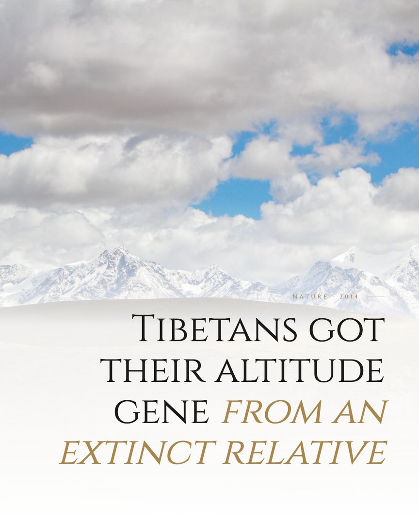 Crescent Discovery Series cover: Tibetans got their altitude gene from an extinct relative