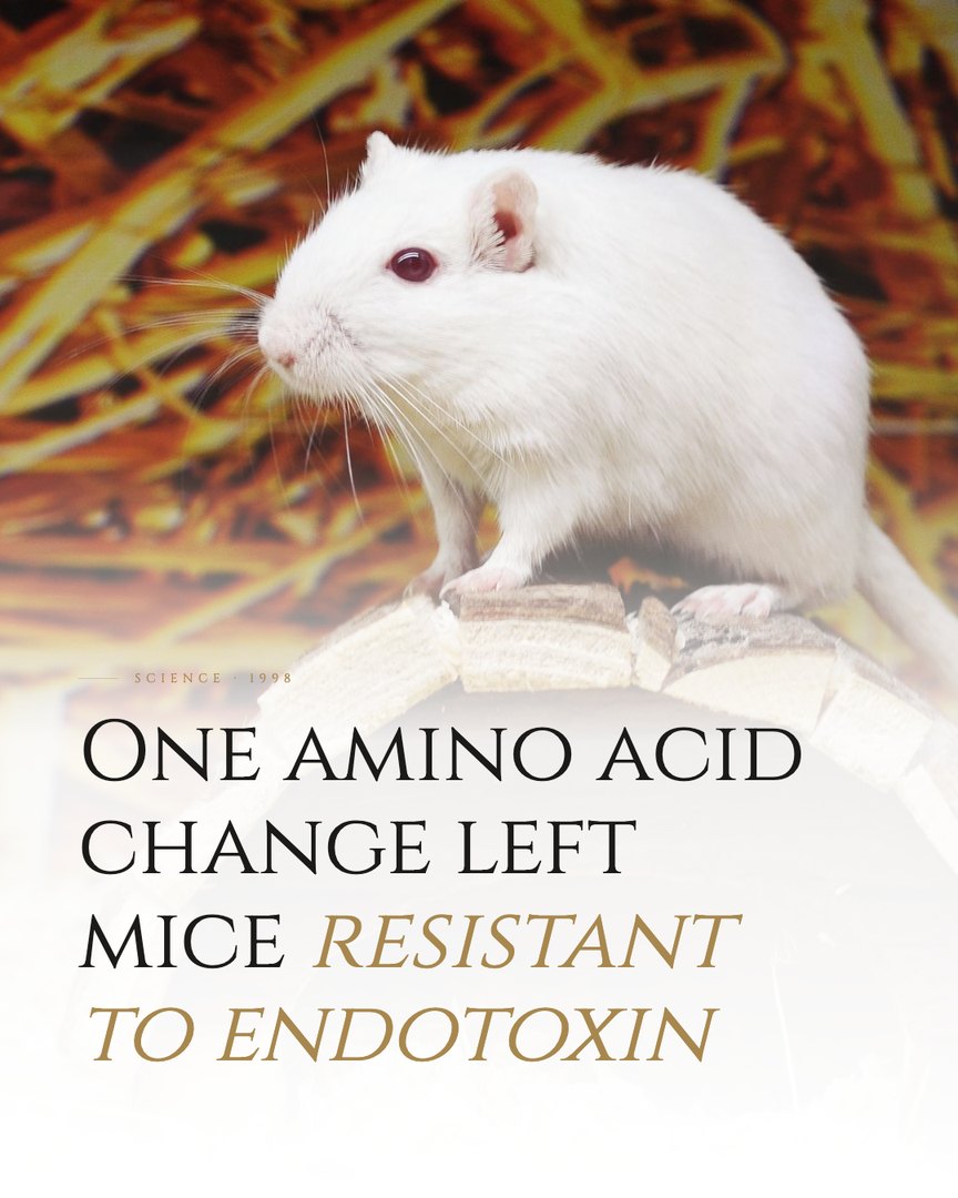 Crescent Discovery Series cover: One amino acid change left mice resistant to endotoxin