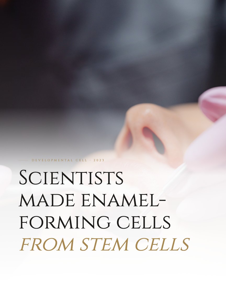 Crescent Discovery Series cover: Scientists made enamel-forming cells from stem cells