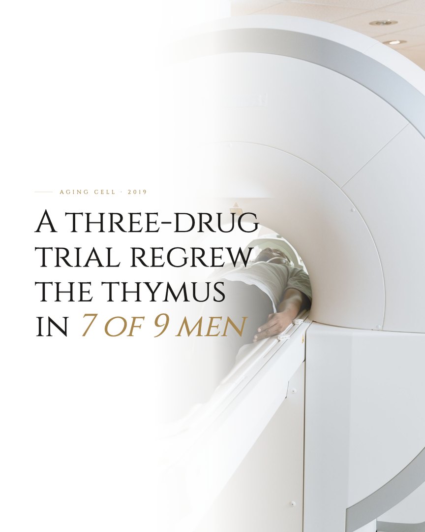 Crescent Discovery Series cover: A three-drug trial regrew the thymus in 7 of 9 men