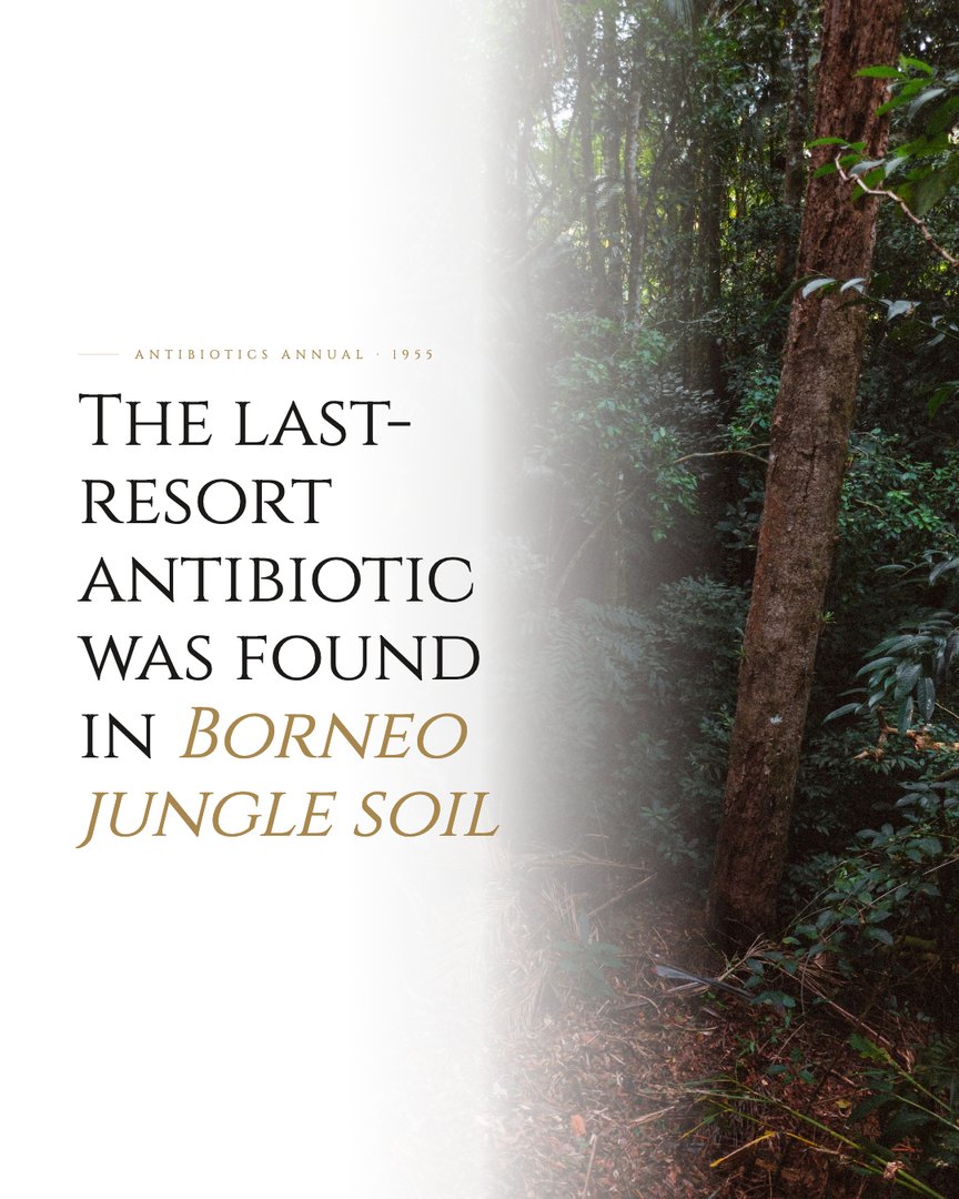 Crescent Discovery Series cover: The last-resort antibiotic was found in Borneo jungle soil