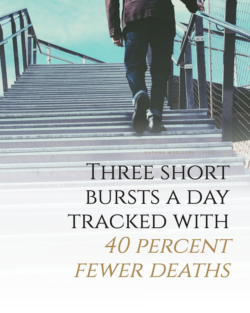 Crescent Discovery Series cover: Three short bursts a day tracked with 40 percent fewer deaths
