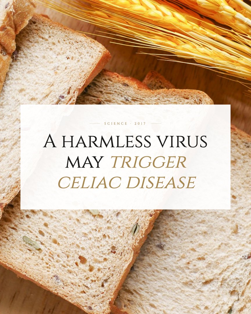Crescent Discovery Series cover: A harmless virus may trigger celiac disease