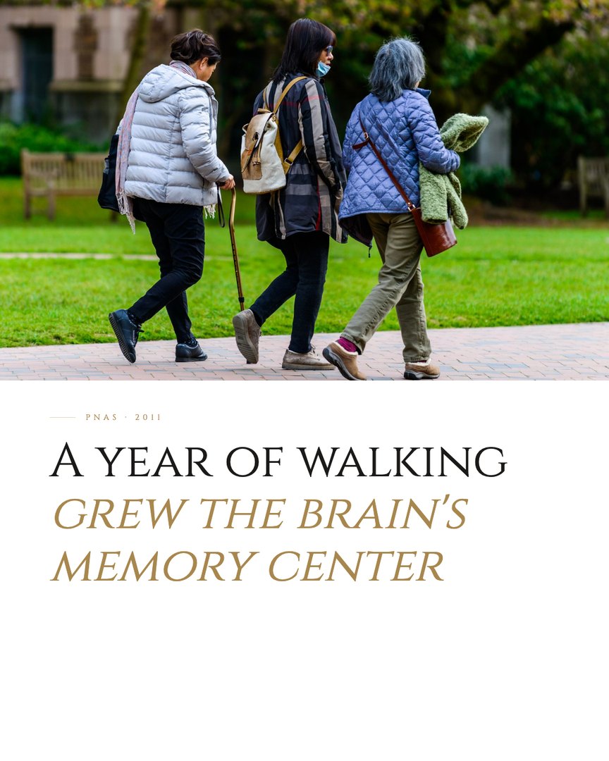 Crescent Discovery Series cover: A year of walking grew the brain's memory center