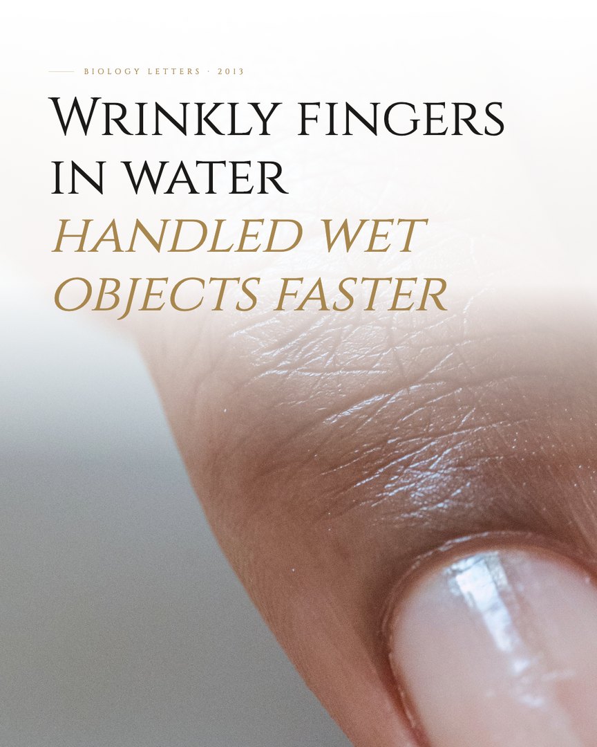 Crescent Discovery Series cover: Wrinkly fingers in water handled wet objects faster
