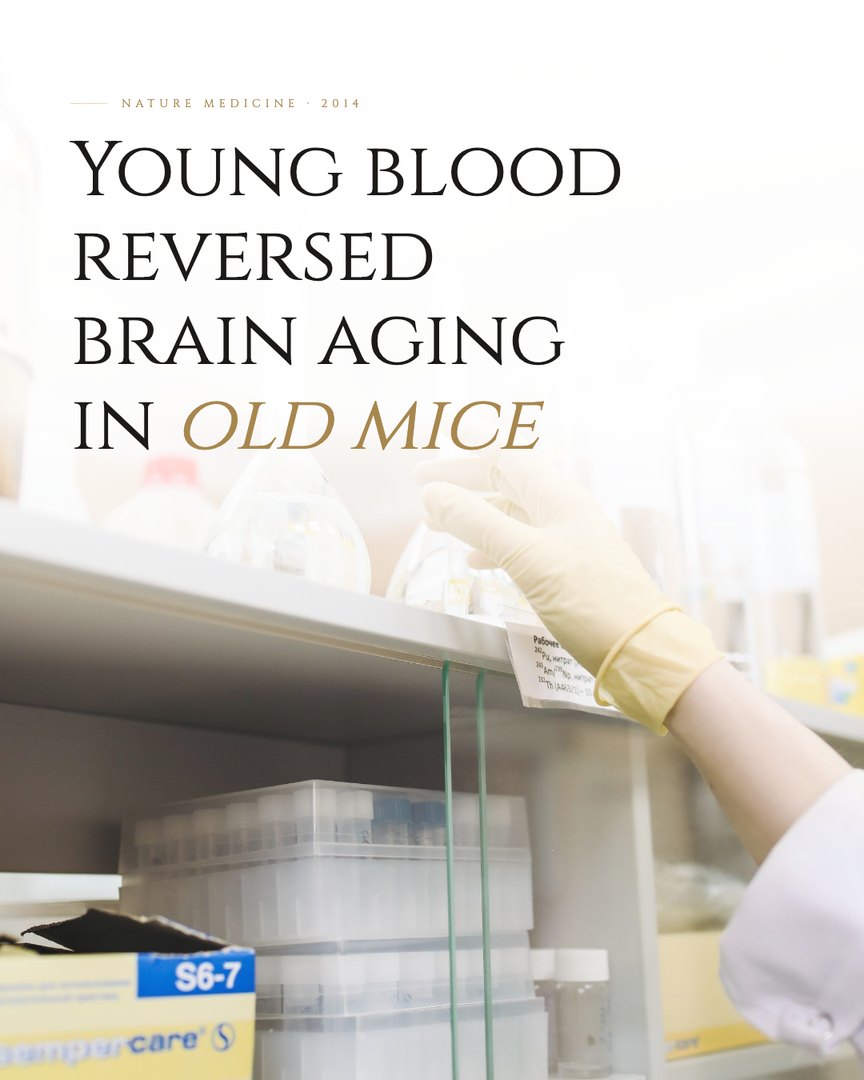 Crescent Discovery Series cover: Young blood reversed brain aging in old mice