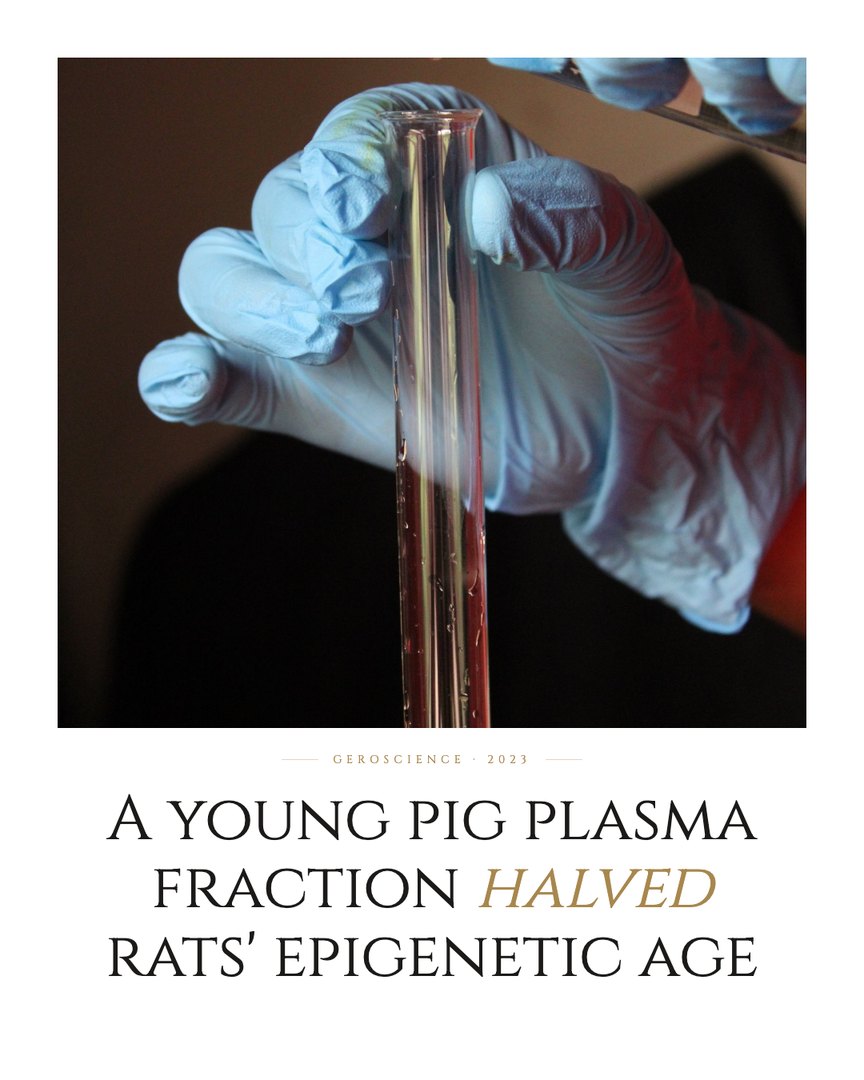 Crescent Discovery Series cover: A young pig plasma fraction halved rats' epigenetic age